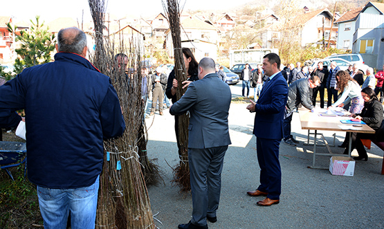 Polјoprivrednicima u Leposaviću više od 95.000 sadnica