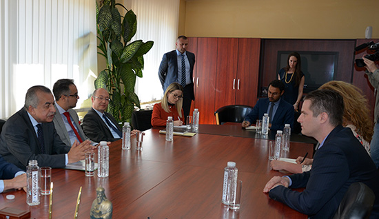 Marić i Tanin